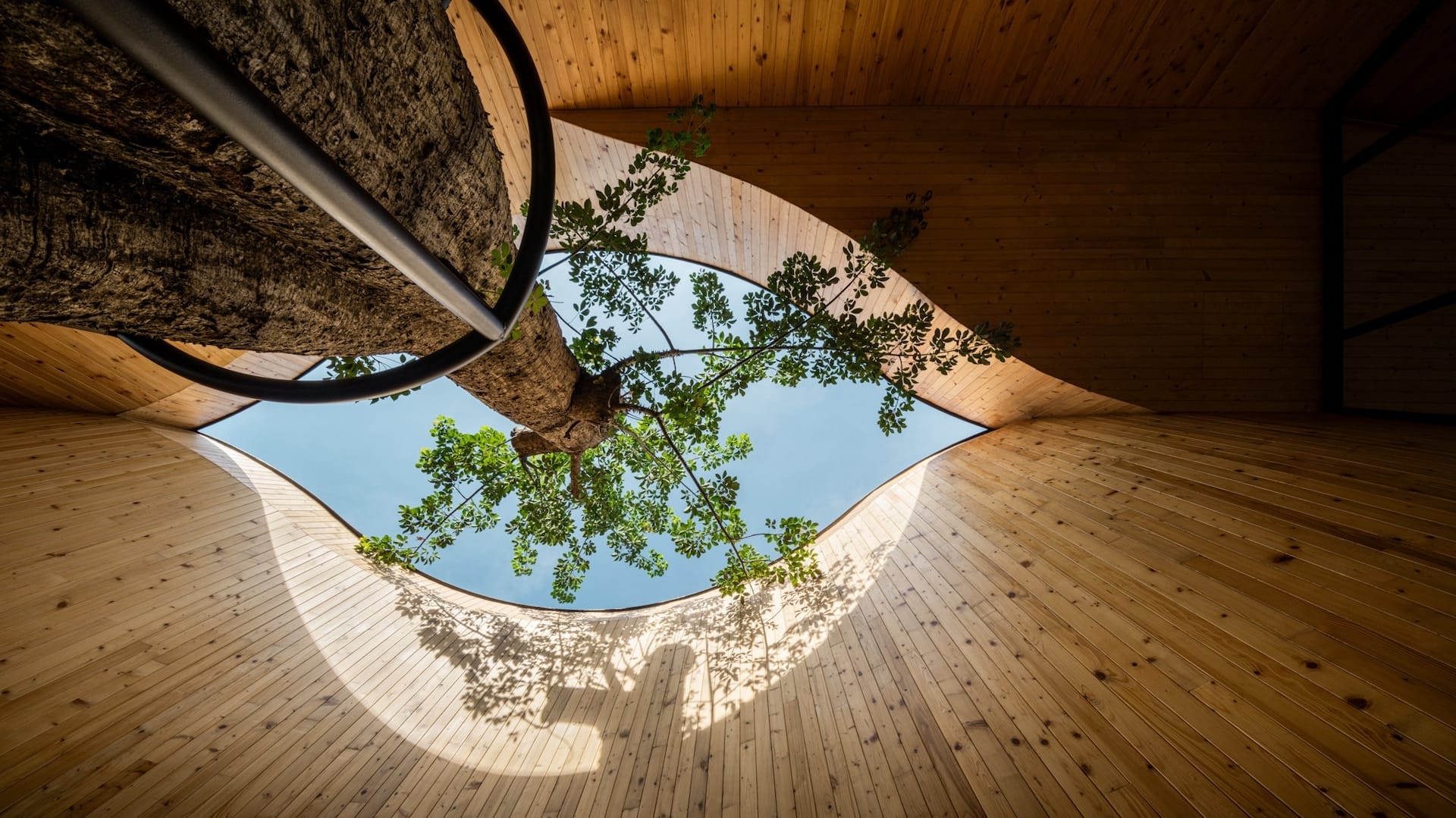 a view of a contemporary building interior with vertical pine cladding, looking upward through a void in the ceiling where a tree grows