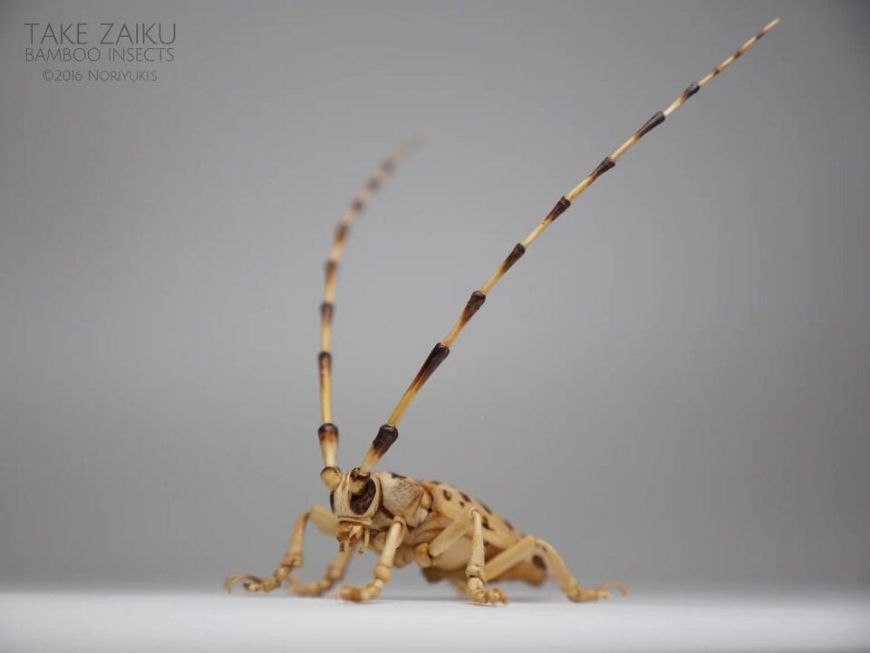 a meticulously detailed wooden sculpture of a long-horned beetle with very long antennae