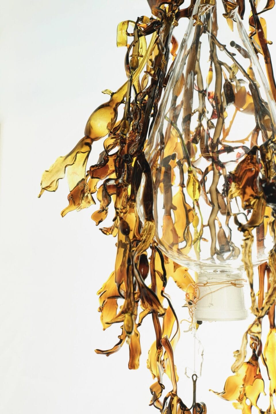 detail of a suspended glass sculpture resembling kelp